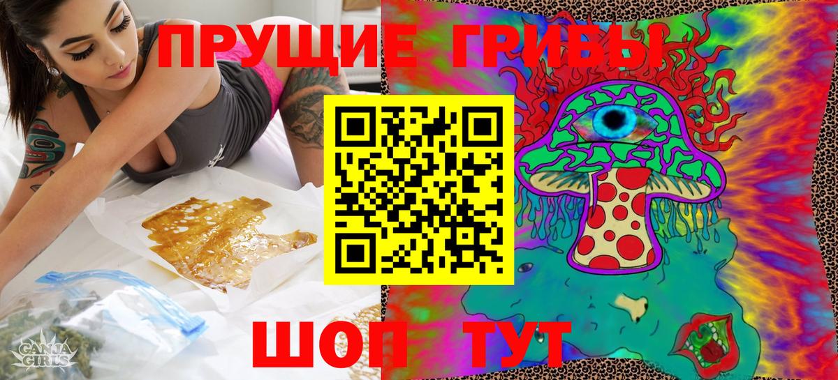 Богородск  как найти закладки  Вход с VPN  Галлюциногенные грибы GOLDEN TEACHER 
