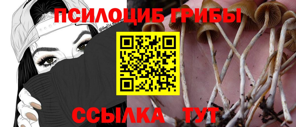 Галлюциногенные грибы прущие грибы Богородск